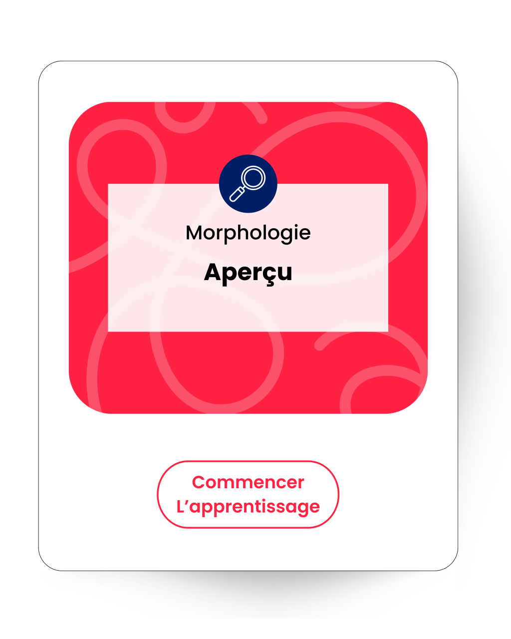 Morphologie Aperçu